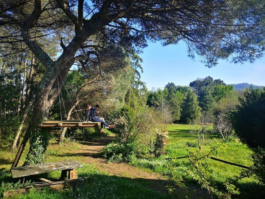 Pine Lodge - Direct Train To Porto Valongo  Dış mekan fotoğraf
